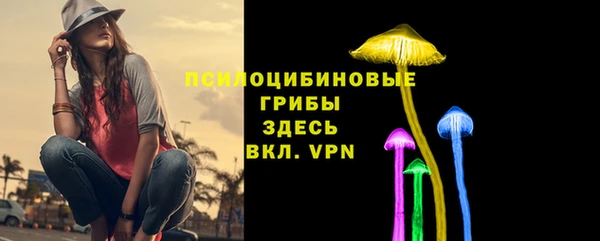 метамфетамин Козловка