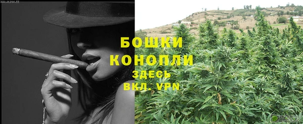 ECSTASY Костерёво