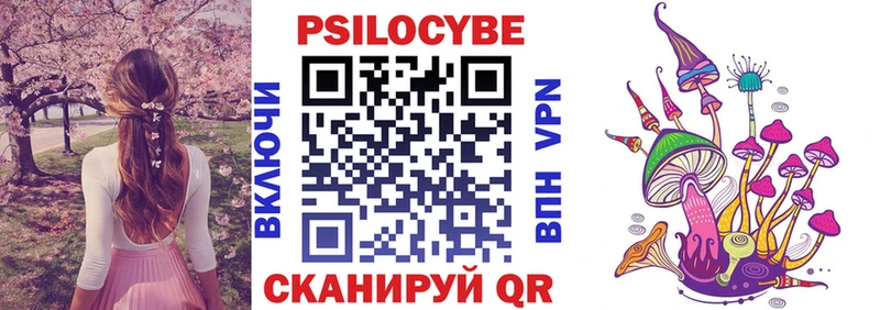 маркетплейс какой сайт  кракен зеркало  Псилоцибиновые грибы Magic Shrooms  Котельнич  наркота 